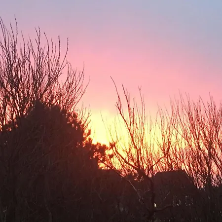 Heiderose Lejlighed *